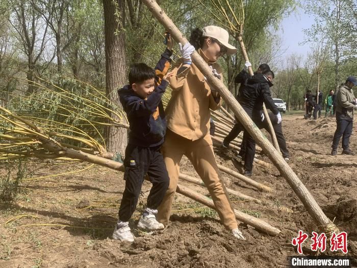 台青京郊植树：期待未来两岸增加林业合作-IOT物联网
